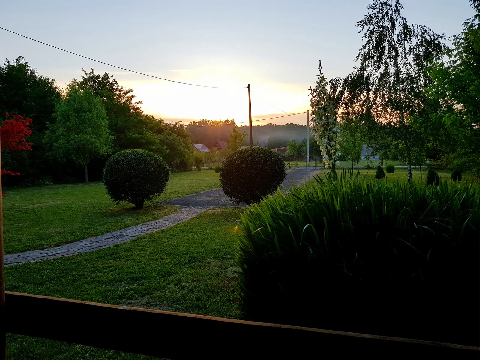 Staza kroz zelenilo prema rijeci Bosut u smiraj dana